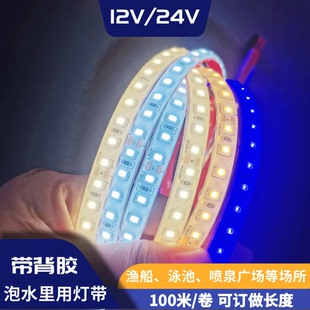 24V2835一体包胶防水户外水里用白光暖光蓝光灯带12V灌胶白光灯条