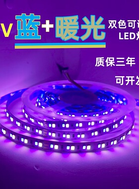 彩光灯带24V2835裸板不防水蓝光+暖光双色LED灯带机械道闸LED灯条