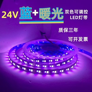 彩光灯带24V2835裸板不防水蓝光+暖光双色LED灯带机械道闸LED灯条