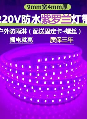 紫色LED灯带220V2835紫罗兰96珠吊顶LED灯带条户外防水紫罗兰灯条