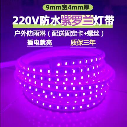 紫色LED灯带220V2835紫罗兰96珠吊顶LED灯带条户外防水紫罗兰灯条