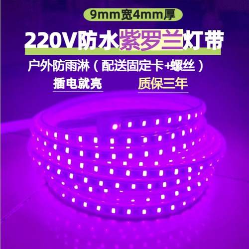 220V紫罗兰紫色柔性防水LED灯带