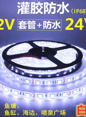 水池用灯带24V5050灌胶防水白光灯带12V渔船喷泉防水白光LED灯条