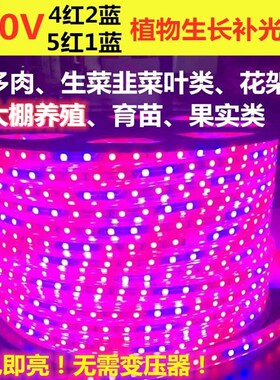 全光谱大棚草莓补光生长灯条220V5050多肉植物水草育苗花LED灯带
