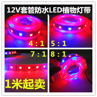12V5050套管防水植物生长led补光灯带5:1植物补光灯带5红1蓝5050
