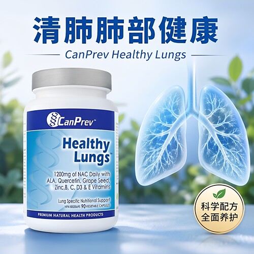 CanPrevNAC清肺肺部健康