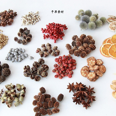 diy果壳松果木片树叶干花干果组合圣诞装幼儿园装饰摆件复古道具