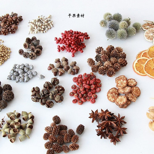 diy果壳松果木片树叶干花干果组合圣诞装幼儿园装饰摆件复古道具