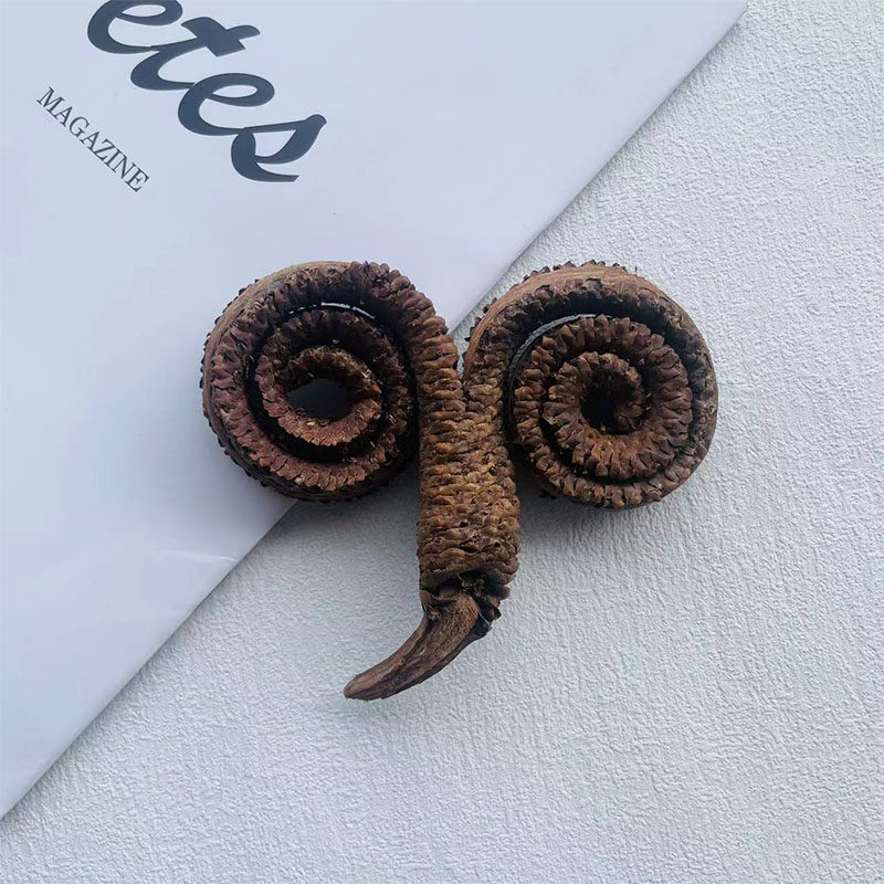 羊角环进口真植物干花装饰插花家居摆件节日礼品天然植物设计花材,家居饰品,干花/花瓣/干花包/干树枝,淘宝优惠券,粉丝福利购,淘宝优惠卷