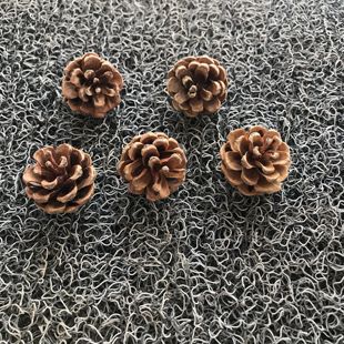 包邮 30个小松果油松天然松果松塔工艺摆件道具拍照造景材料2 5cm