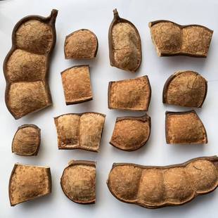 云南榼藤大豆荚手工DIY娃娃材料 天然植物果实标本摆件收藏平安豆