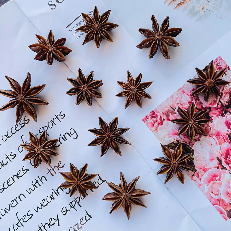 八角果DIY香薰蜡烛 森系植物标本相框天然果实干花环材料50颗装,家居饰品,干花/花瓣/干花包/干树枝,淘宝优惠券,粉丝福利购,淘宝优惠卷