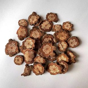 【红花藤】1-4cm天然红藤木片香薰蜡烛相框发夹干花果实植物装饰