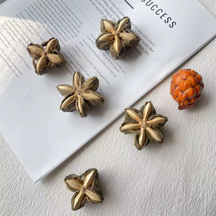 南美星油藤干果材料植物标本相框手工干花材料陈列装饰干果印加果