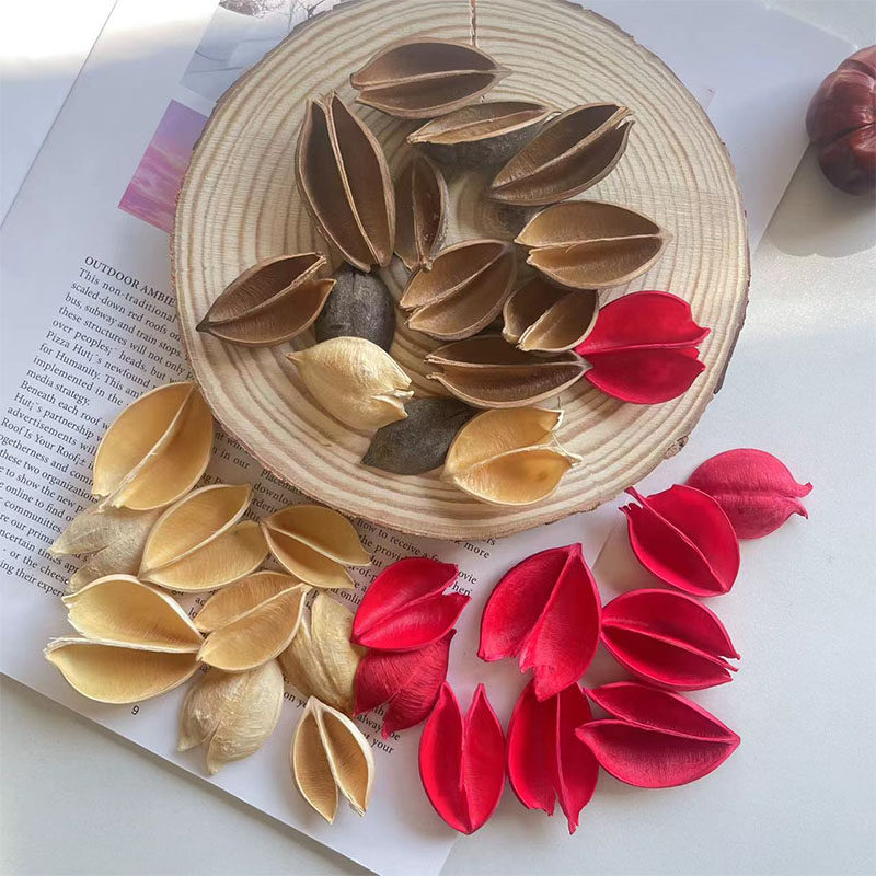 【梧桐壳】天然植物果壳干花材料创意手工制作拼接干花环禅意摆件,家居饰品,干花/花瓣/干花包/干树枝,淘宝优惠券,粉丝福利购,淘宝优惠卷