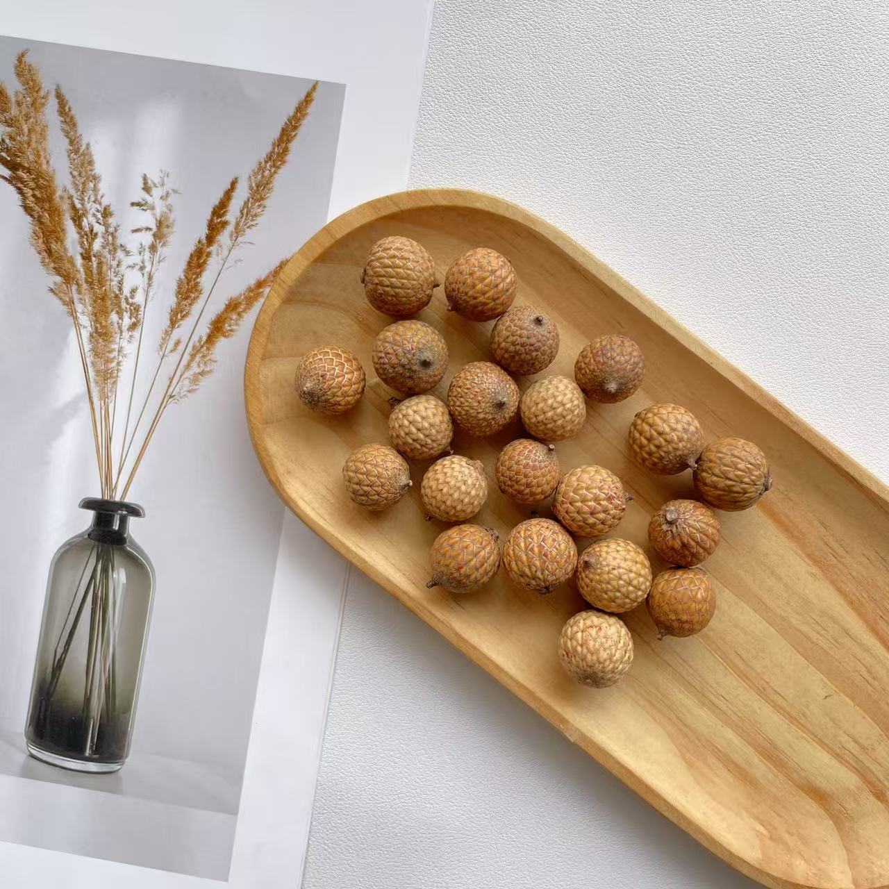 星月菩提原籽带钉果子项链手链手工diy果子原籽星月菩提植物标本