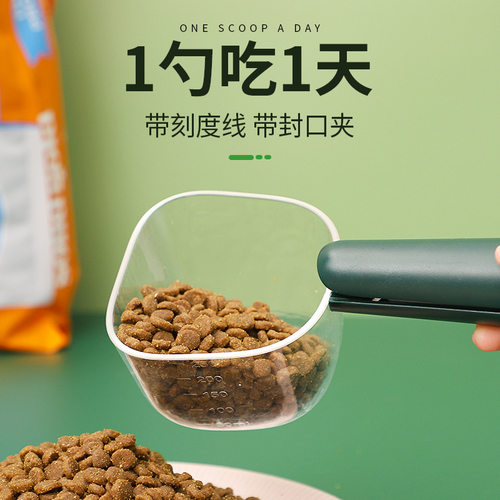 宠物勺子提冠性价比高