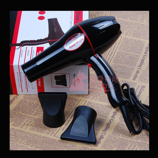 乐比奇美宠物吹风机电吹风吹水筒狗狗猫咪通用金毛泰迪2000W 包邮