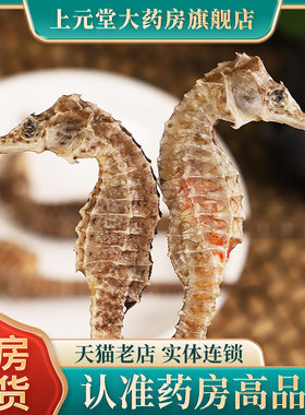 海马干货泡酒中药材饮片抓配店铺