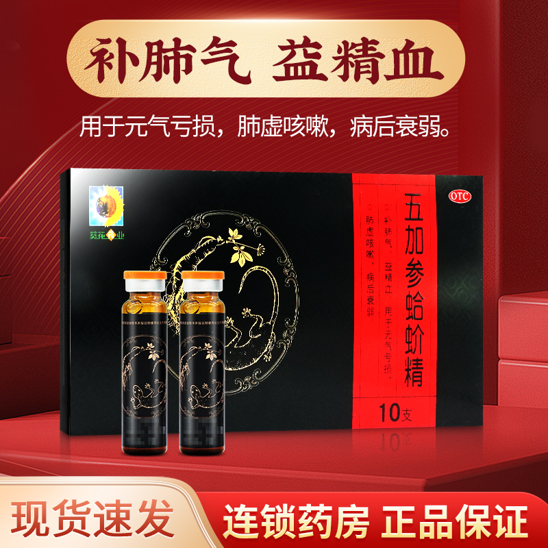 【葵花】五加参蛤蚧精10ml*10支/盒