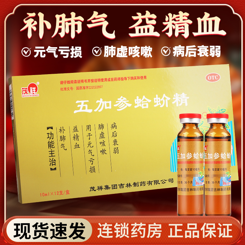 【茂祥】五加参蛤蚧精10ml*12/支