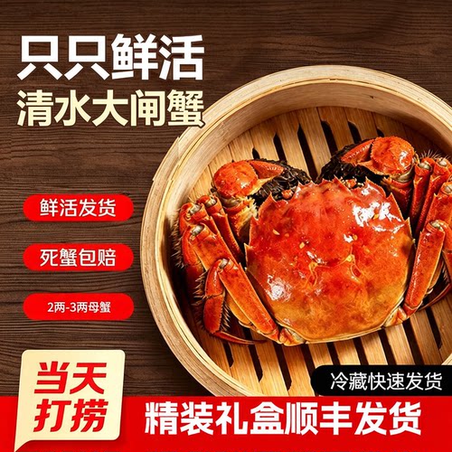 苏州蟹之缘鲜活螃蟹河蟹太湖大闸蟹母活蟹蟹礼礼盒装礼品