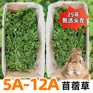 25年紫花苜蓿草烘干幼兔干草食用兔粮兔子草料荷兰猪豚鼠龙猫饲料