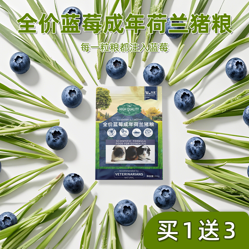 牛宠蓝莓提摩西天竺鼠粮主粮豚鼠粮荷兰猪粮食全阶豚鼠饲料美毛