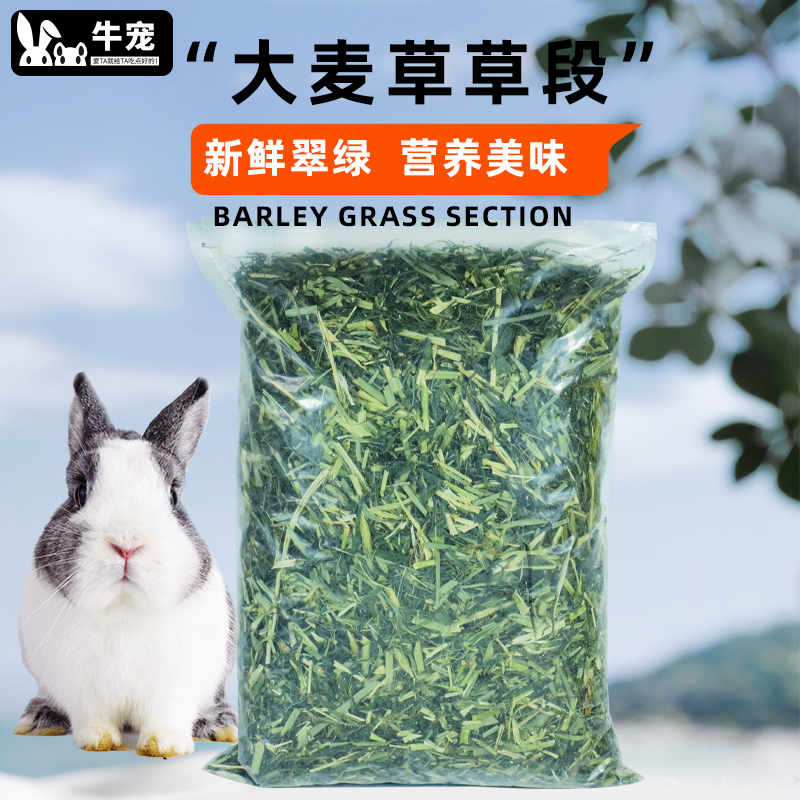 大麦草段爱吃的高复购牧草牛宠