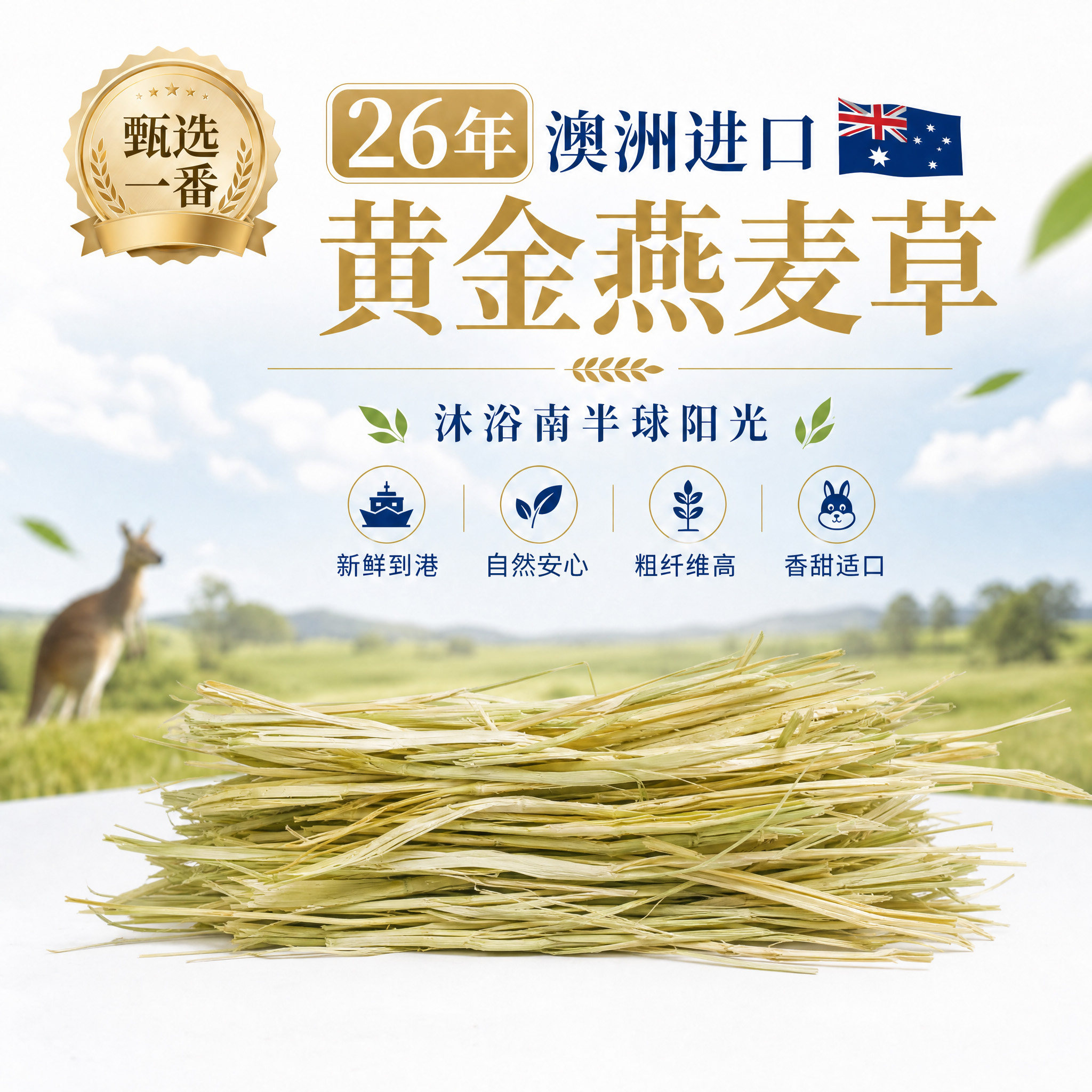 牛宠进口澳洲黄金燕麦草一番二番图片