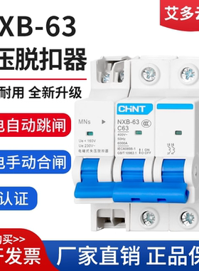 NXB失压脱扣器2P63A家用自动跳闸开关C45停电手动合闸断路器