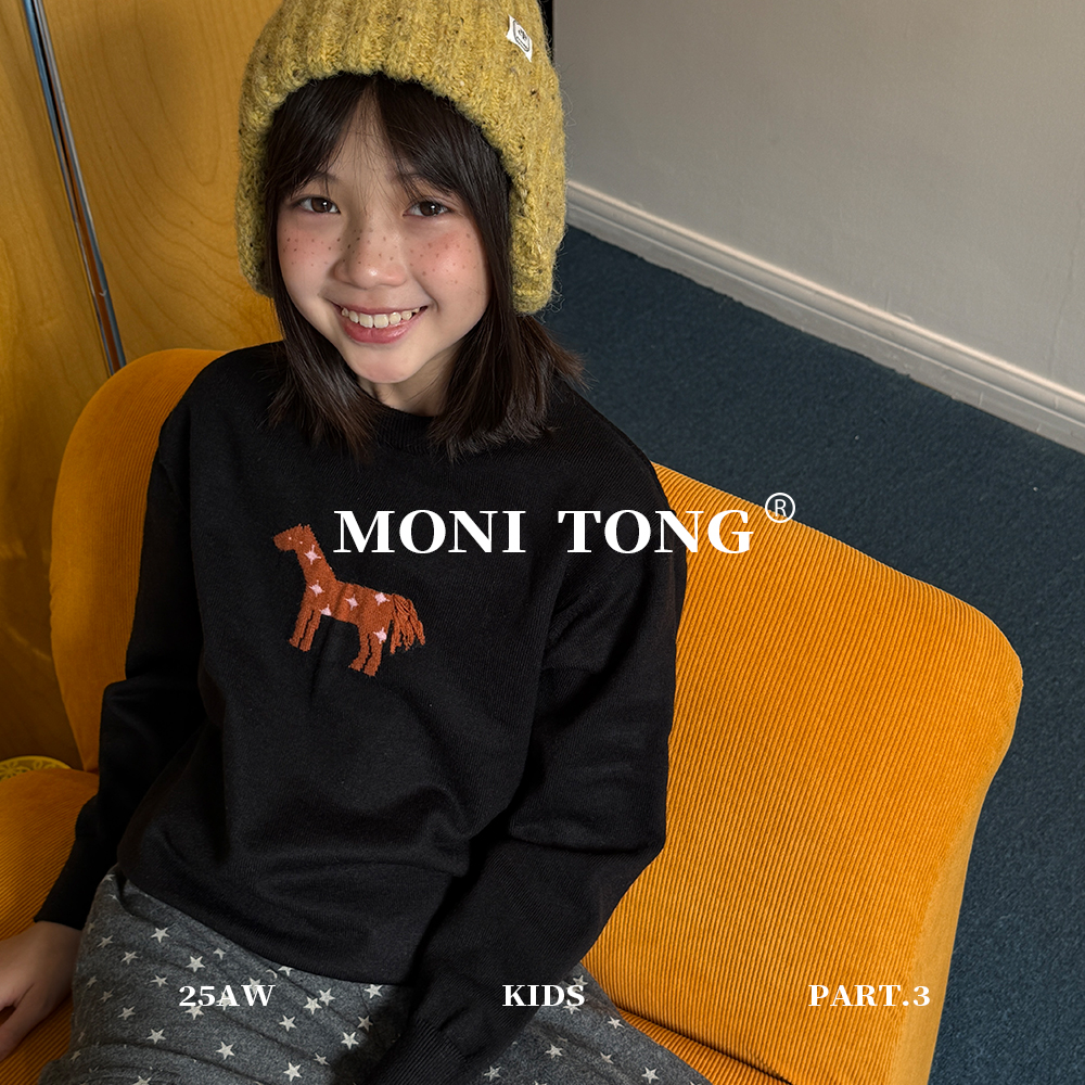 MONI 立体手工绣小马毛衣针织套头衫