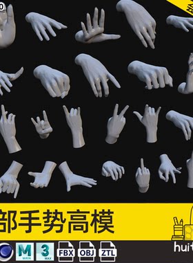 3D人物肢体手高模C4D手掌手心手指常见手势MAX模型3D建模雕刻素材