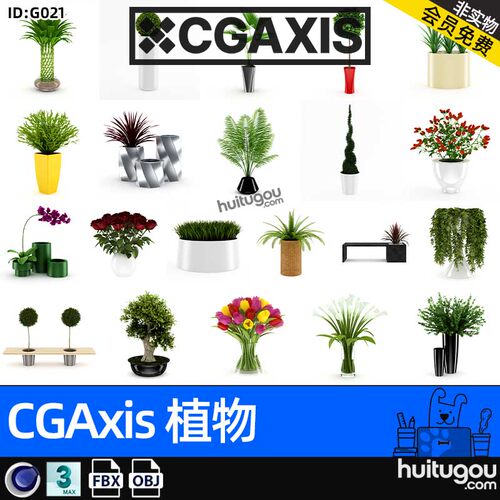 CGAXIS Plants-2[植物]室内装饰盆栽插花盆景3D模型c4d max fbx