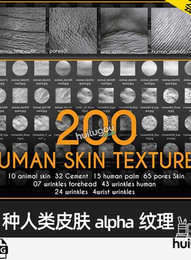 ZBrush人物角色人体皮肤纹理Alpha笔刷-200 Human Skin Textures