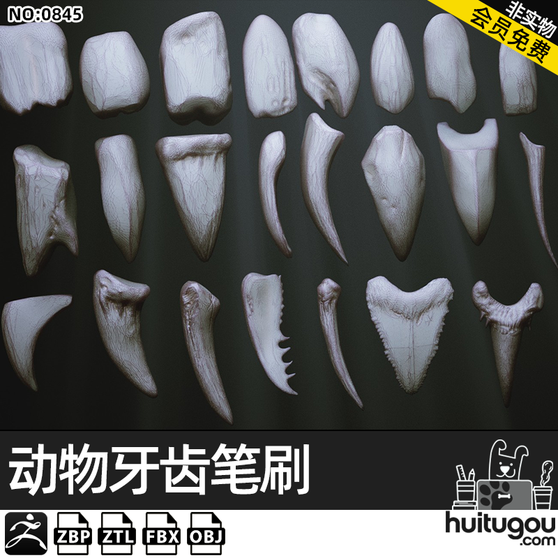 【0845】zbrush动物牙齿獠牙imm笔刷zbp画笔zb模型ztl素材fbx obj