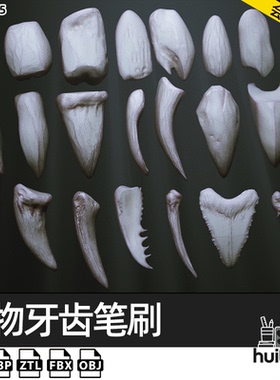 【0845】Zbrush动物牙齿獠牙IMM笔刷zbp画笔ZB模型ztl素材fbx obj