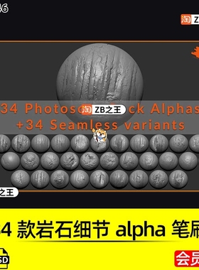 ZBrush素材34款石头山崖悬崖岩石细节纹理alpha笔刷PSD贴图ZB雕刻