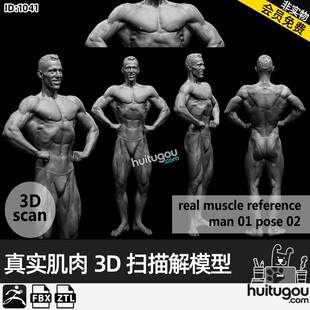 真实男性人体肌肉3D扫描FBX STL模型muscleanatomy Man01 pose 02