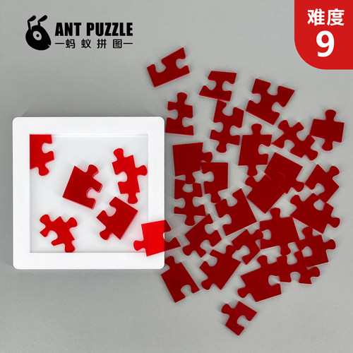 Jigsaw-31²平方puzzle异形进阶超难烧脑拼图双层减压桌面游戏