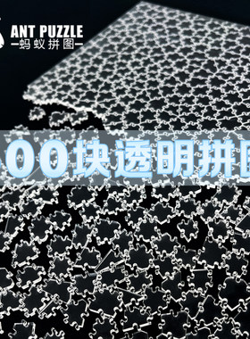 500块100块拼图透明亚克力高难度烧脑地狱十级puzzle益智不规则