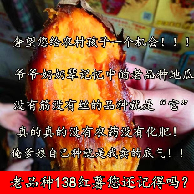 （80年代老品种138红薯）山西农家自种老式地瓜新鲜现挖糖心无筋