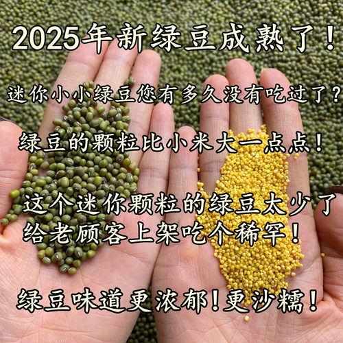 （25年新绿豆少量上架！）农家老品种小绿豆迷你小小颗粒毛绿豆
