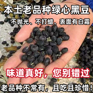 （老人坚持种的老品种土黑豆）农家自种老式绿心黑豆未抛光未打蜡