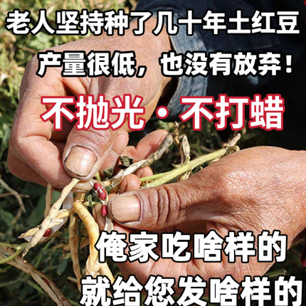 （老人坚持在种的老品种土红豆）农家自种老式红小豆新鲜未抛光