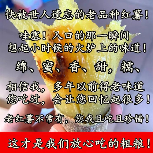 真正小时候的味道老品种红薯很香
