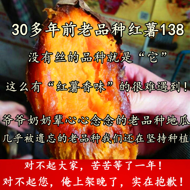 老人坚持种了几十年的老品种红薯