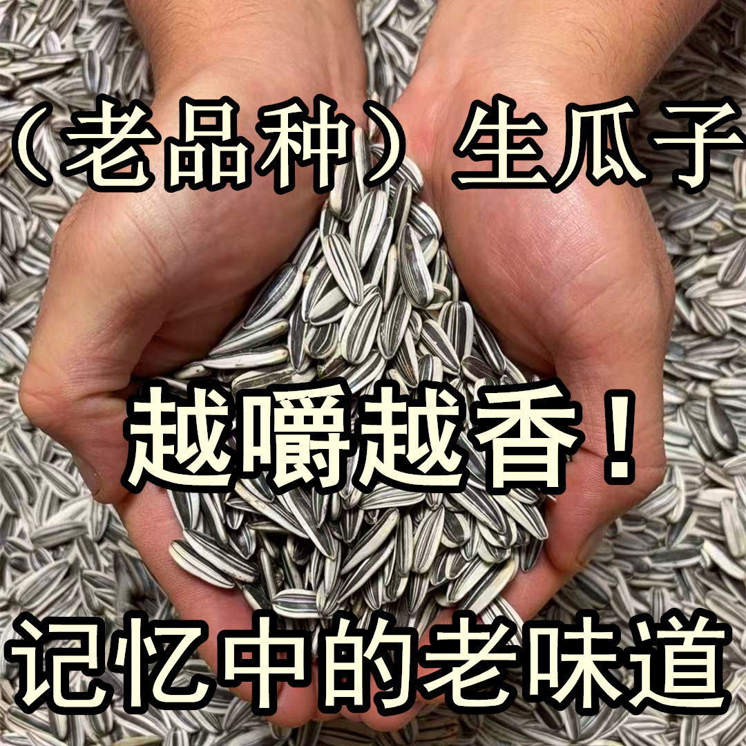 （是您寻找的记忆中的老品种瓜子）农家瓜子葵花籽新鲜晒干生瓜子