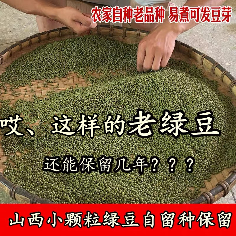 （俺爹娘每年自留种老品种绿豆）山西农家老山区老式小颗粒绿豆 粮油调味/速食/干货/烘焙 绿豆 原图主图