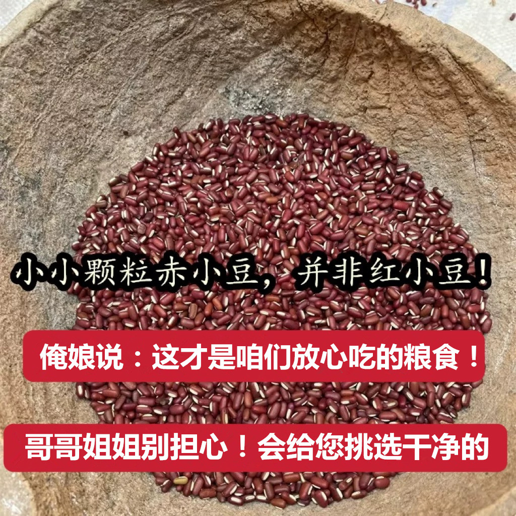 （老人坚持种植的老式赤小豆）农家自种小颗粒赤小豆而非红小豆
